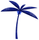 Palm Tree