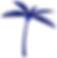 Palm Tree