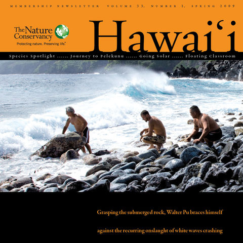 The Nature Conservancy