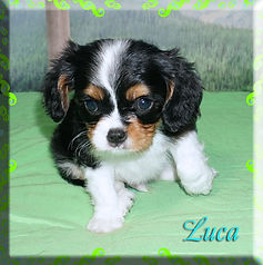 22-07-02 Luca 1 2m.jpg