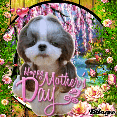 Mother's 57.gif