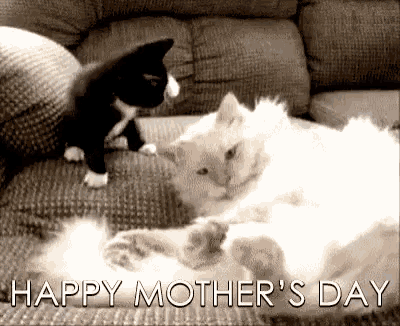 Mother's 43.gif