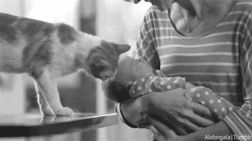 Mother's 47.gif