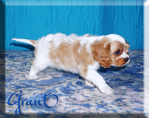 22-04-01 Grant 2 8w.jpg