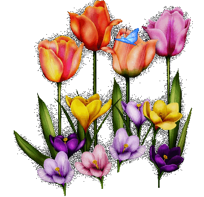 Spring 21.gif