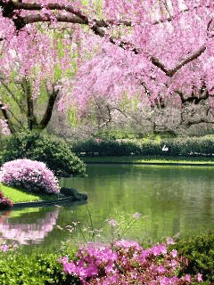 Spring 7.gif