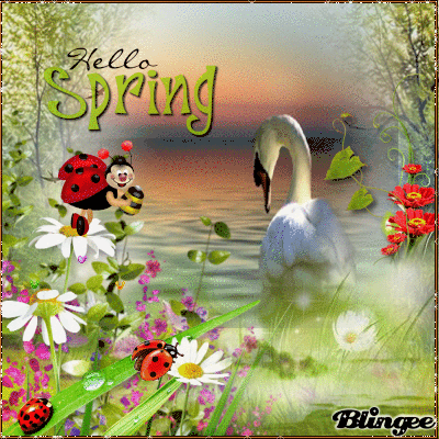 Spring 12.gif
