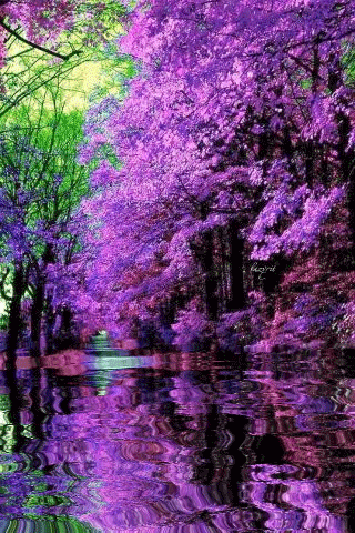 Spring 8.gif