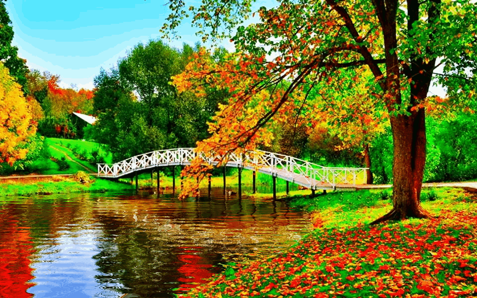 Autumn 23.gif