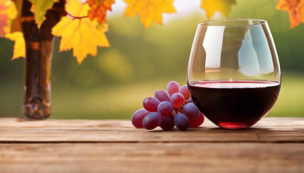 Wine Tasting Experience