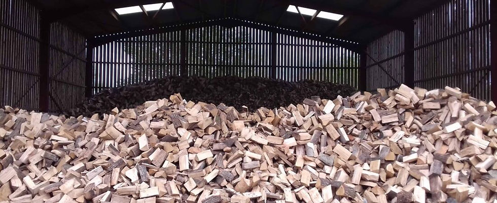 Darker cut hardwood triangular logs on the left and lighter softwood logs on the right