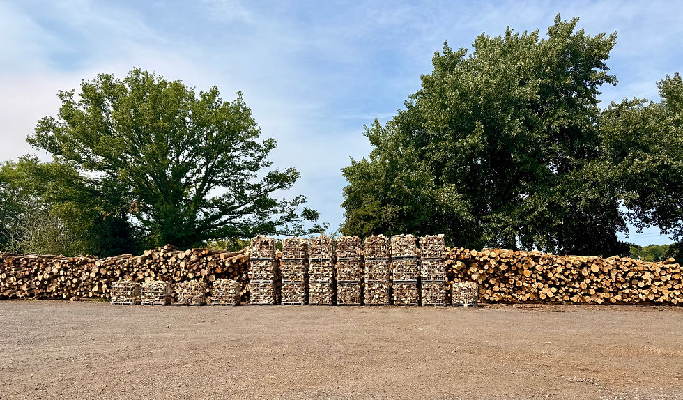 Firewood burns a deep orange in a glass-door, black metal log burner. Brick fireplace surrounds it.
