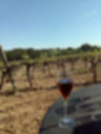 Una experiencia bucolica