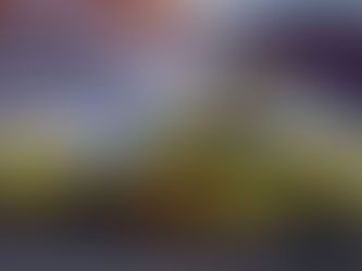 2025 NASCAR Cup Series Preview: