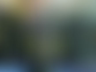 2024 Preview