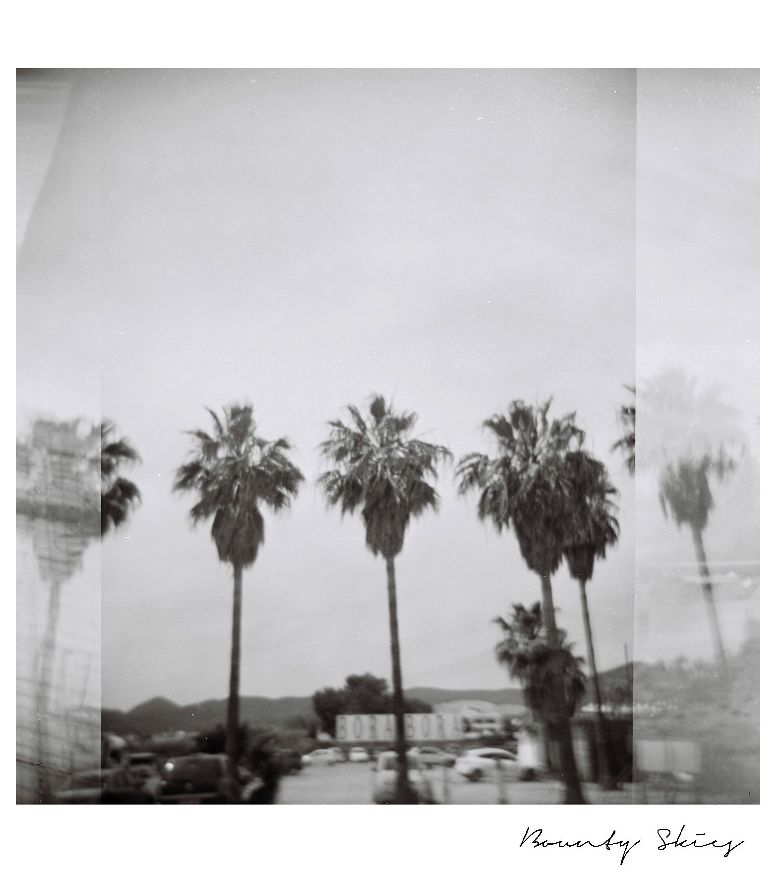 Palms