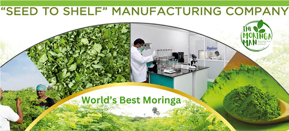 How Long Does It Take For Moringa To Start Working How Long Does It Take for Moringa Capsules to Start Working?
