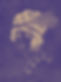 Untitled_Artwork_edited.jpg