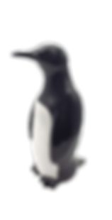 BW45_edited.png