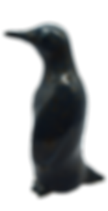 DSC_0037_edited_edited.png