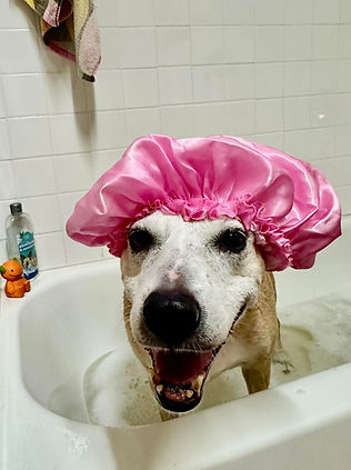 louise bath.jpg