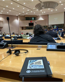 Plenarsaal EU-Parlament