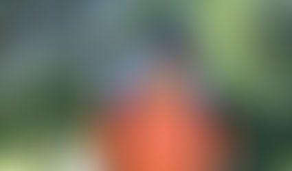 Revisionsabklärungen der IV zum Assistenzbeitrag – Ein Vorgang mit Fragezeichen