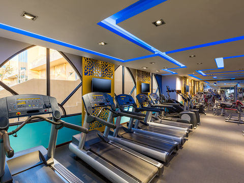 Fully equipped hotel gym with treadmills and exercise machines