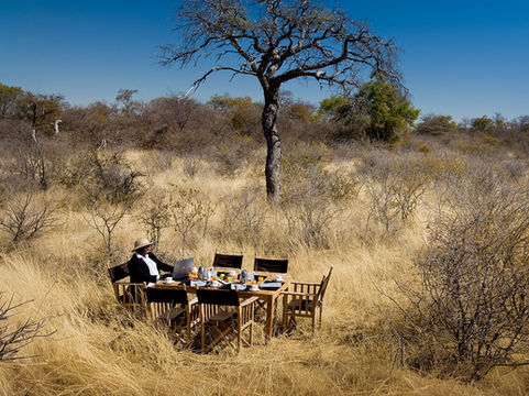 Outdoor dining setup in the African savanna, surrounded by tall grasses and open landscape, evoking a safari experience.