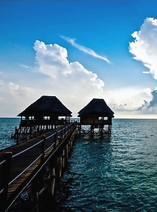 Zanzibar_edited_edited.jpg