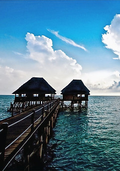 Zanzibar_edited_edited_edited_edited_edited.jpg