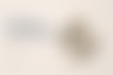 Kariyerlerinde Bir Sonraki Adımı Belirlemek