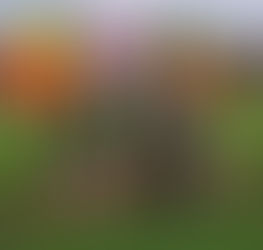 29/04/2023 Bk 10 km Huizingen