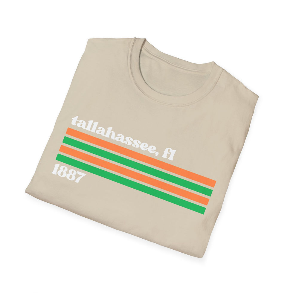 Thumbnail: Tallahassee Heritage Stripe Tee