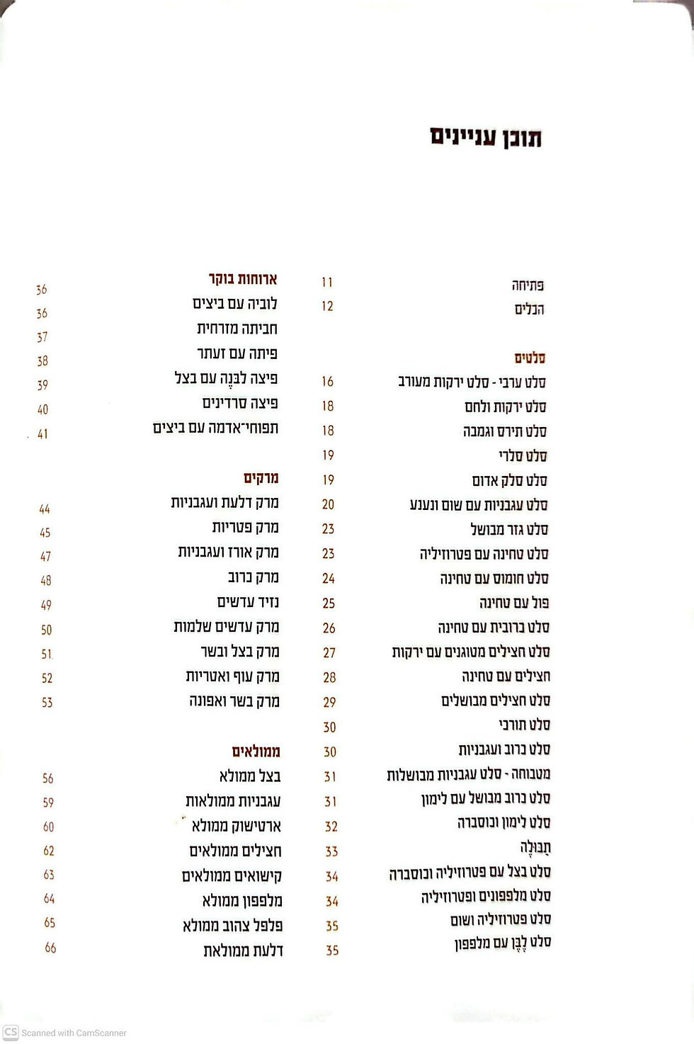 תמונה ממוזערת: מרים חנאוי - בישול ערבי גלילי