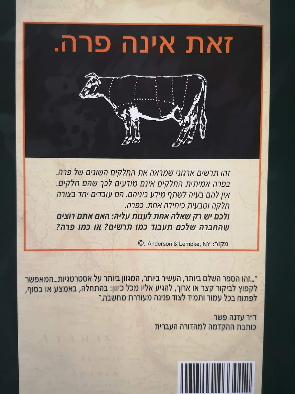 תמונה ממוזערת: הנרי מינצברג - ספארי אסטרטגיות