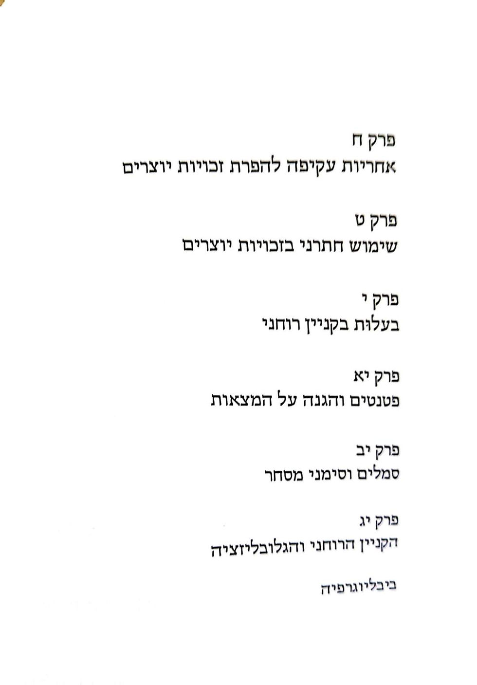 תמונה ממוזערת: ניבה אלקין קורן - קניין רוחני בעידן המידע