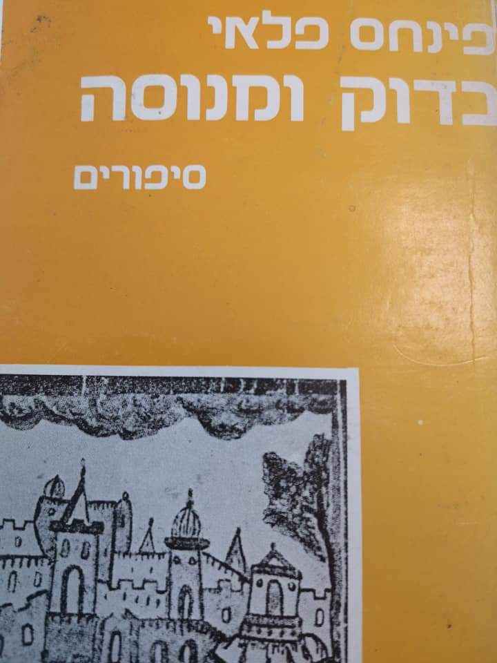 פינחס פלאי - בדוק ומנוסה