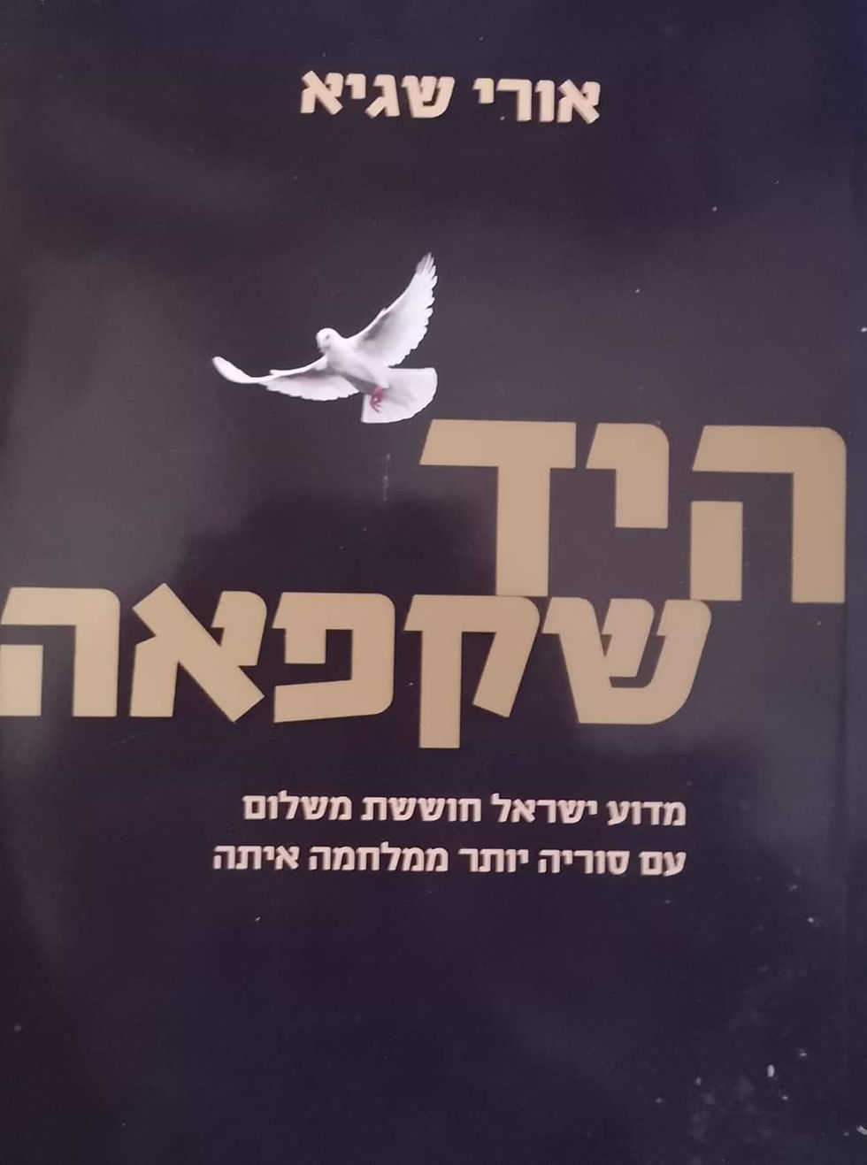 תמונה ממוזערת: אורי שגיא - היד שקפאה: מדוע ישראל חוששת משלום עם סוריה יותר ממלחמה איתה