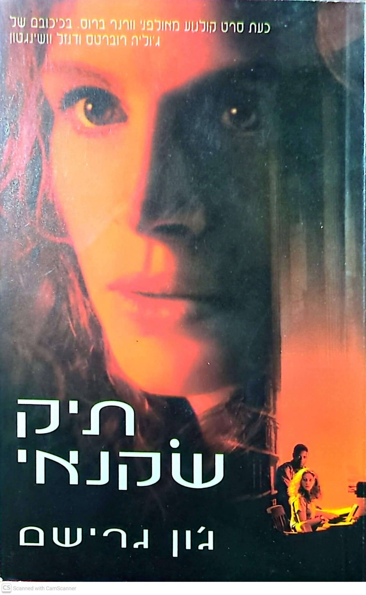 ג'ון גרישם - תיק שקנאי