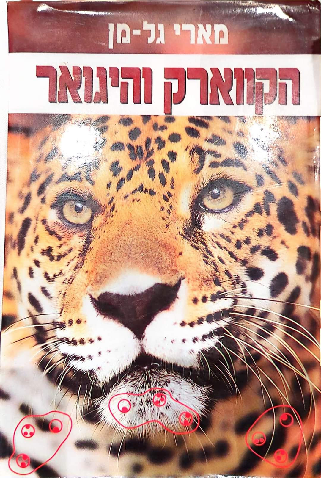 מארי גל מן - הקווארק והיגואר הרפתקות בפשוט ובמורכב