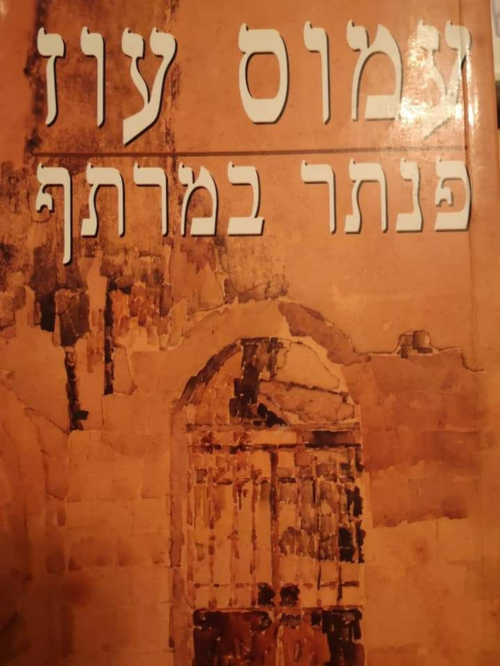 עמוס עוז - פנתר במרתף