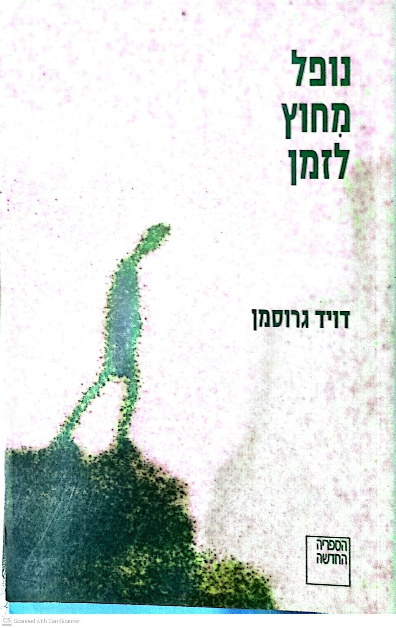 דויד גרוסמן - נופל מחוץ לזמן