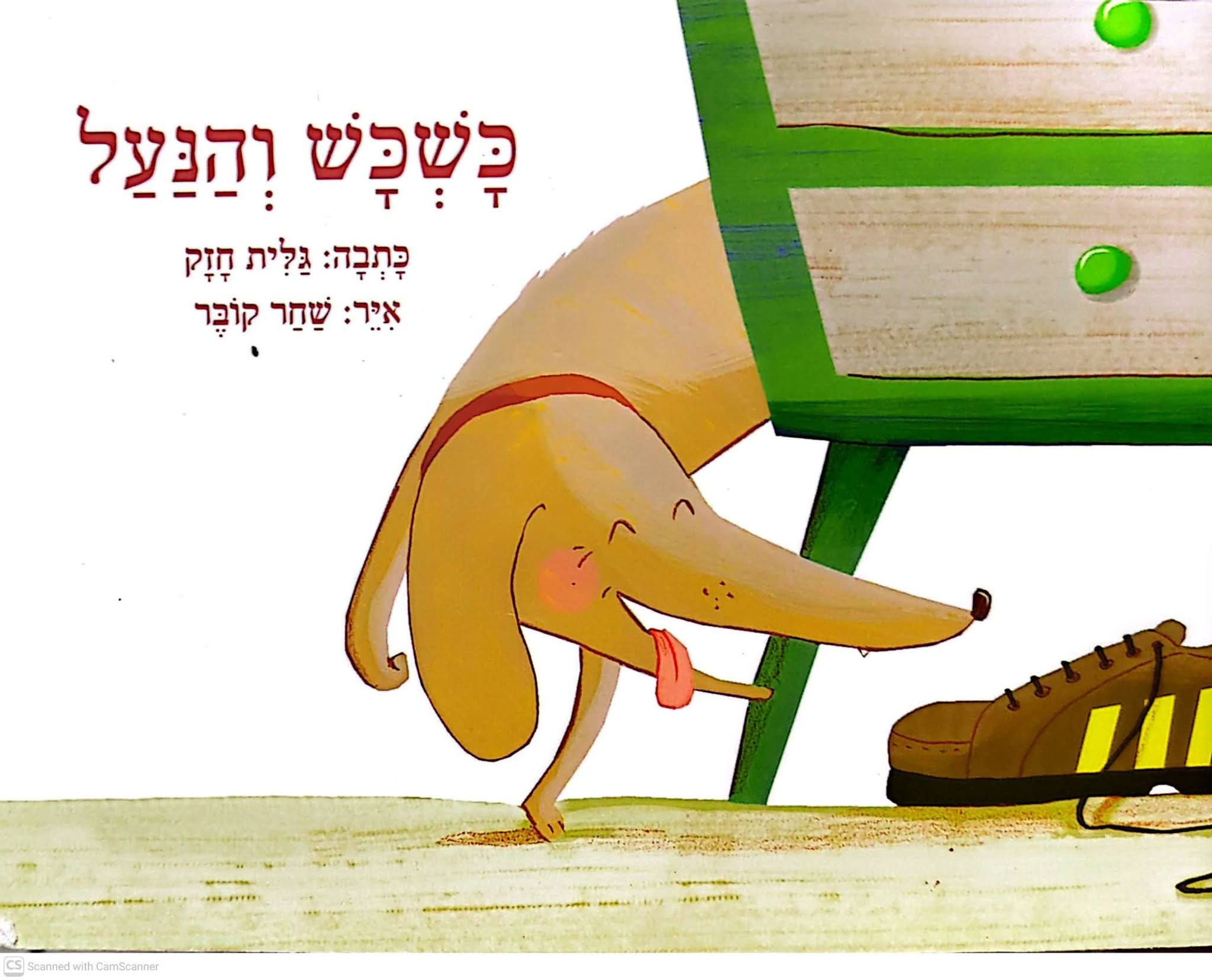 גלית חזק - כשכש והנעל (ספריית פיג'מה)
