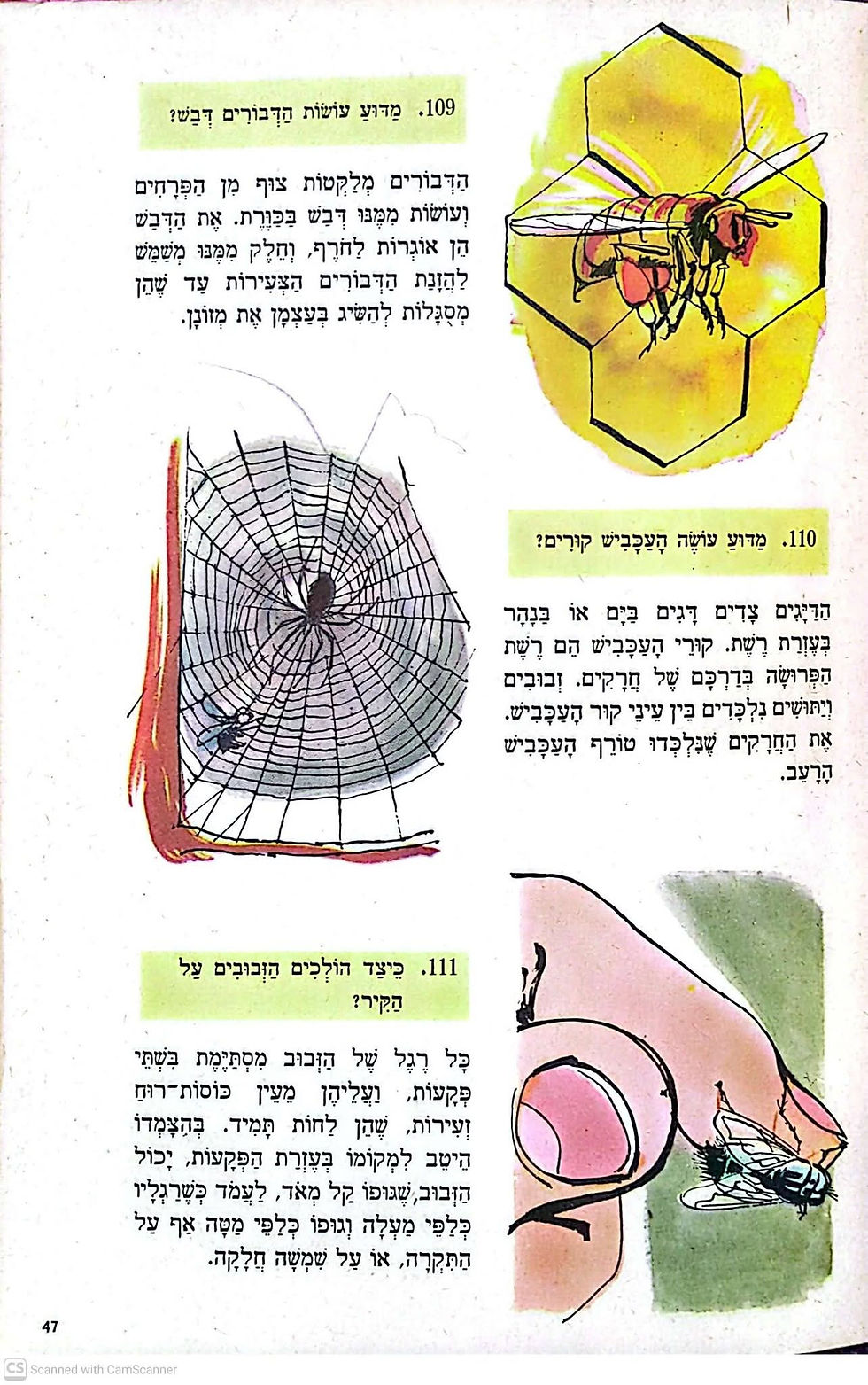 תמונה ממוזערת: כריסטיאן אנגלד - למה ומדוע?