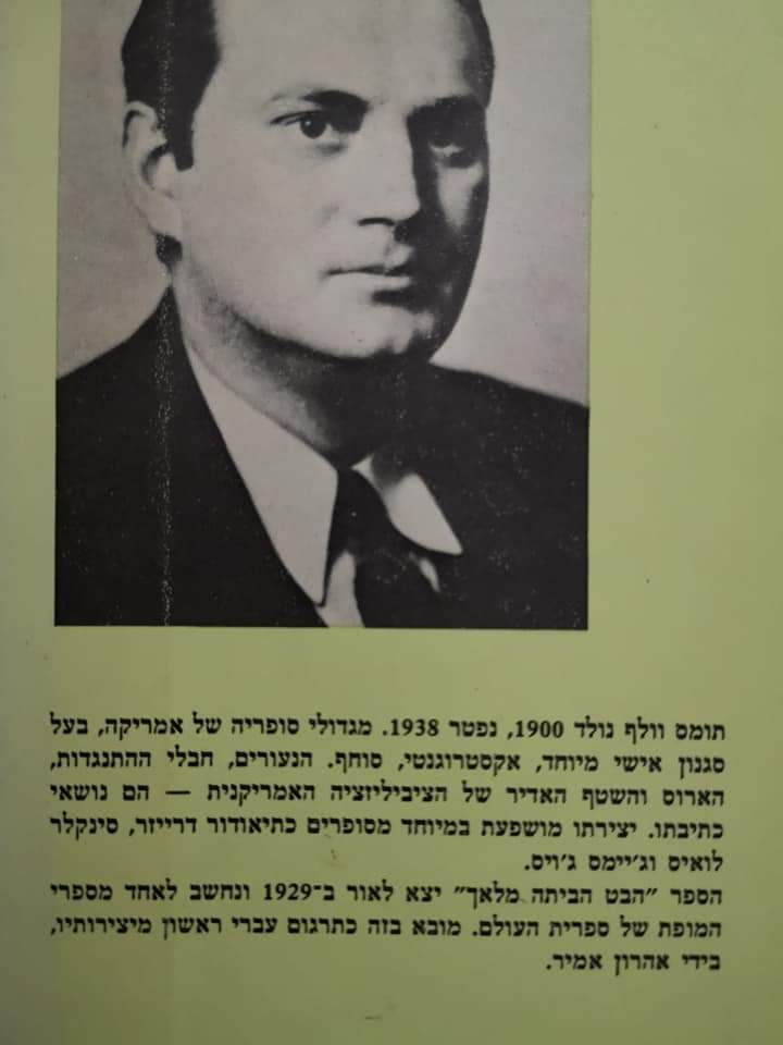 תמונה ממוזערת: תומאס וולף - הבט הביתה מלאך