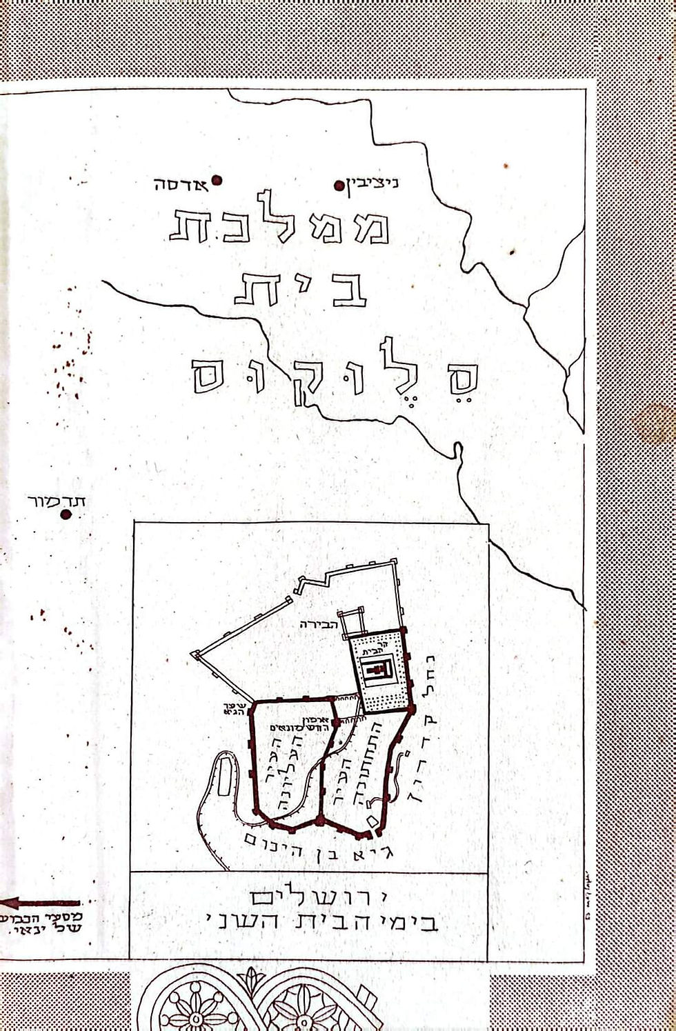 תמונה ממוזערת: משה שמיר - מלך בשר ודם