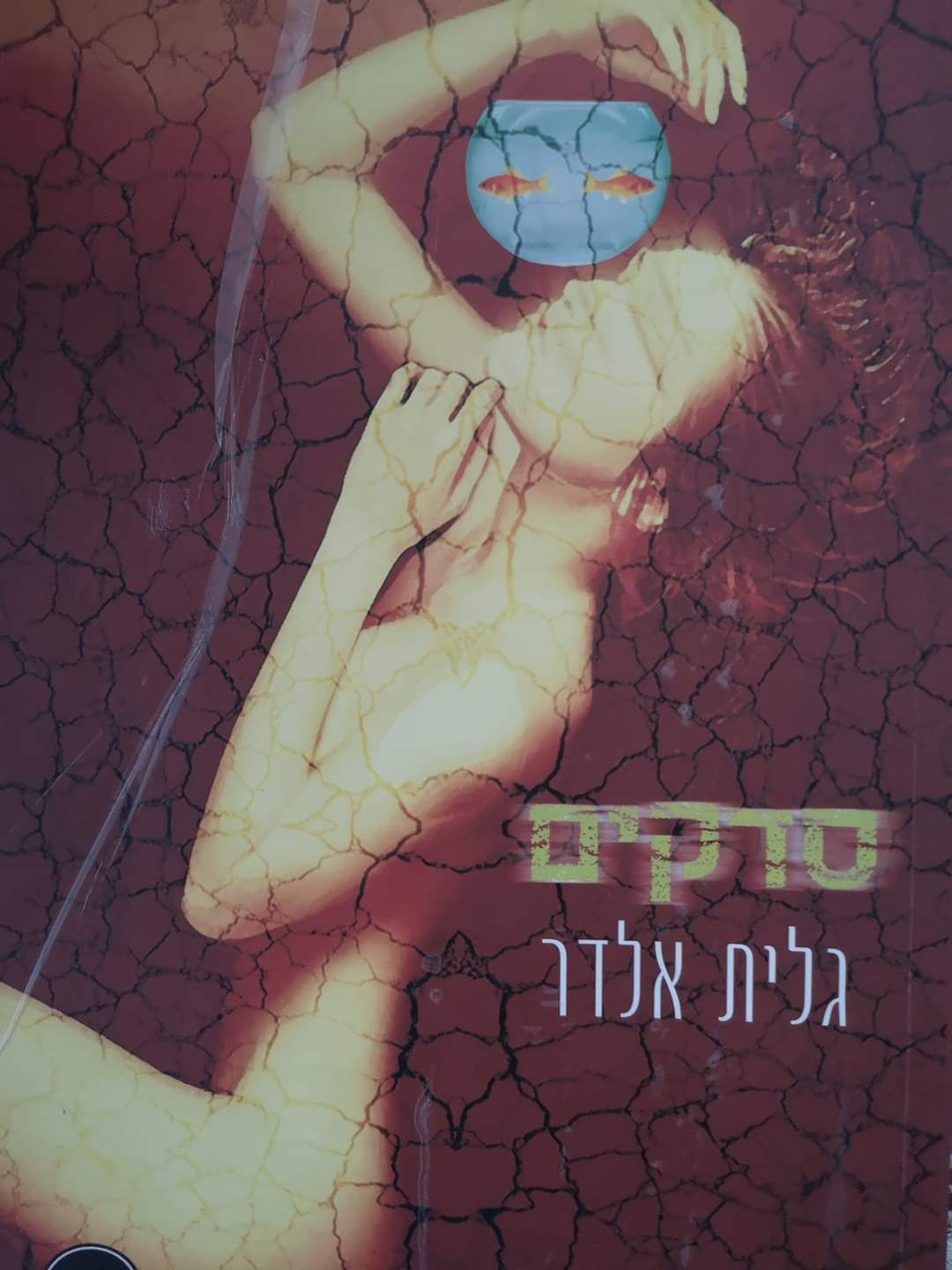 גלית אלדר - סדקים