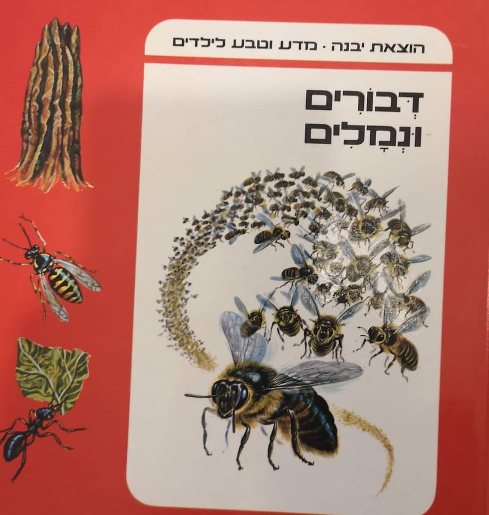תמונה ממוזערת: הוצאת יבנה מדע וטבע לילדים - דבורים ונמלים