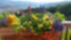 Flower box overlooking the valley